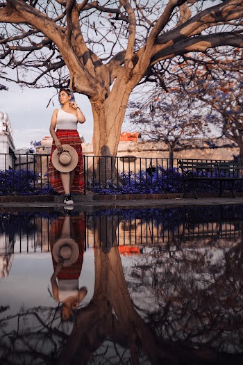 Woman Standing Beside Tree