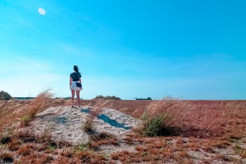 Woman Standing Beside Wheat Field