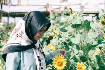 Woman Standing Front of Sunflower