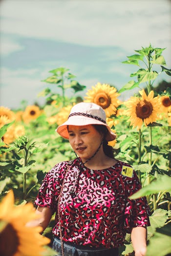 Woman Standing In Sunflower Field