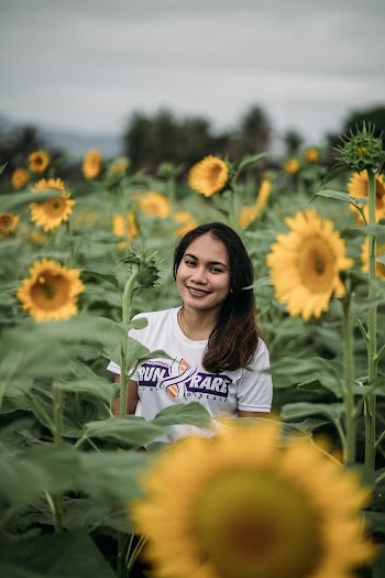 Woman standing in sunflower field