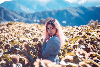 Woman Standing in Sunflower Field