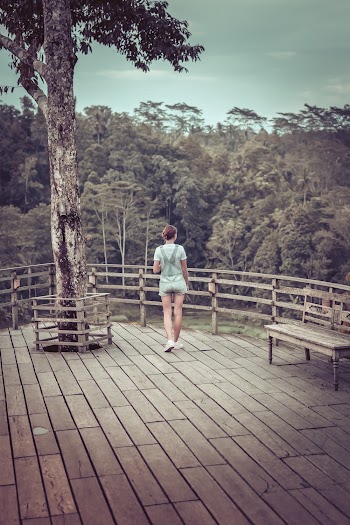 Woman Standing Infront of Tree