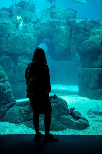 woman standing near aquarium