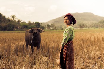 Woman Standing Near Black Water Buffalo at the Field