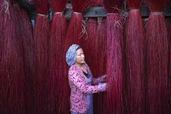 Woman Standing Near Strings