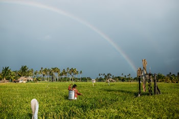 Woman Standing on Grass Field