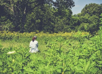 Woman Standing on Grass Field