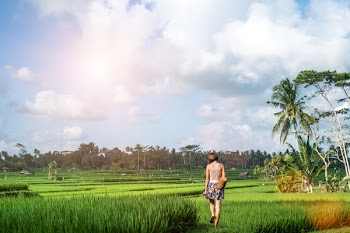 Woman Standing on Green Grass Field