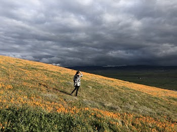 Woman Standing On Green Grass Land