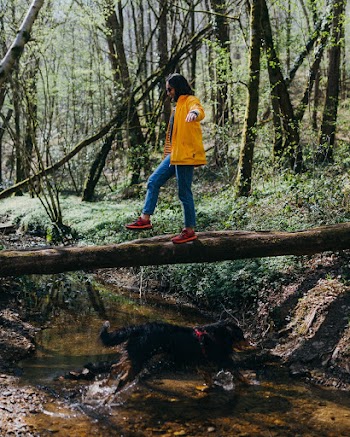 Woman Standing On Log