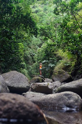 woman standing on rock looking at green tree during daytime