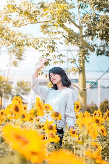 Woman Standing on Sunflower Field
