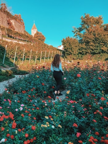 Woman Surrounded by Flowering Plants