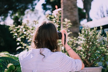 Woman Taking Photo of Green-leafed Plant Selective Focus Photography