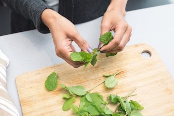 Woman Tearing Mint Leaves