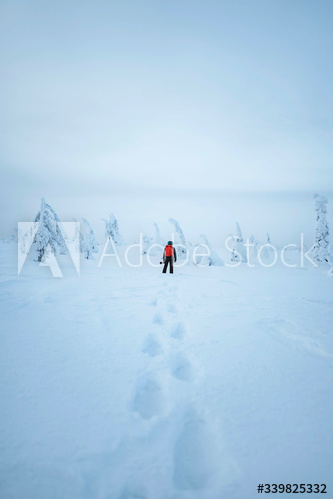 Woman trekking through the snow in  Lapland, Finland