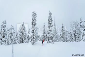 Woman trekking through the snow in  Lapland, Finland