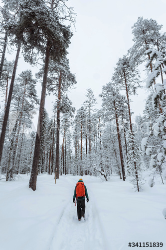 Woman trekking through the snow in  Lapland, Finland