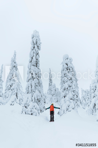 Woman trekking through the snow in  Lapland, Finland