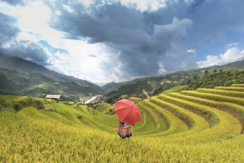Woman Under Umbrella