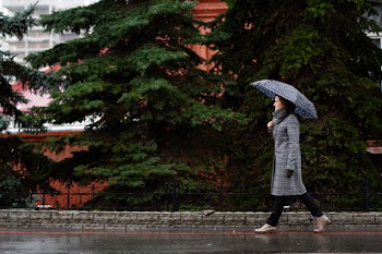 Woman Using Umbrella While Walking