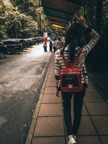 Woman Waling on Pathway