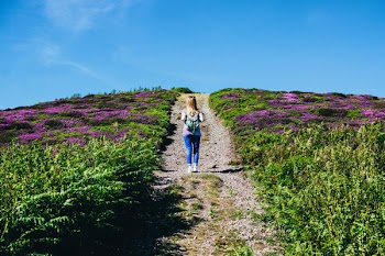 Woman Walking Alone in Between Purple Flower Field