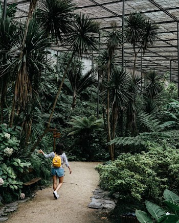 Woman Walking Beside Inside A Tropical Garden With Lush Vegetation