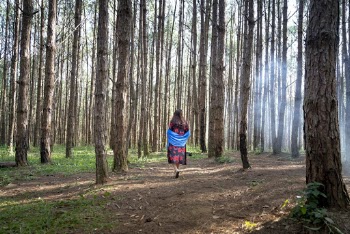 Woman Walking in the forest
