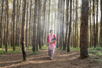 Woman walking in the middle of tall trees
