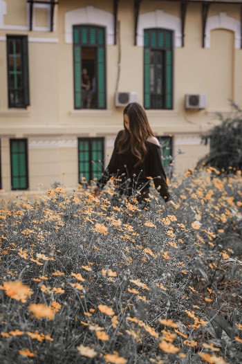 Woman Walking Near Flower Field