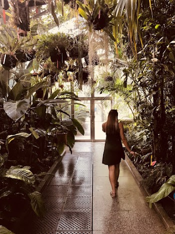 Woman Walking Near Plants