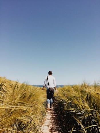 woman walking of wheat field
