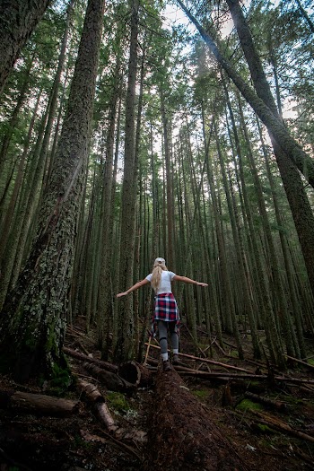 Woman Walking on a Log in the Forest