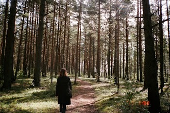 Woman Walking on Forest Path