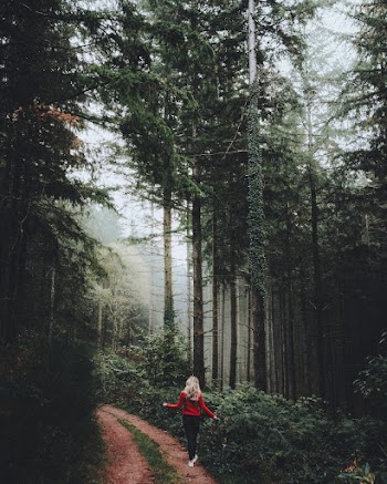 Woman Walking On Pathway