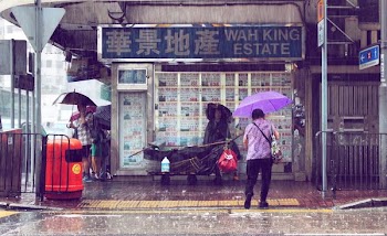 woman walking on pavement while holding umbrella