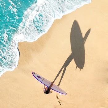 Woman Walking on Seashore While Holding White and Purple Surfboard