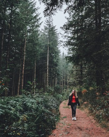 Woman Walking on Unpaved Pathway in the Middle of Forest