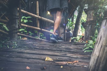 Woman Walking on Wooden Bridge