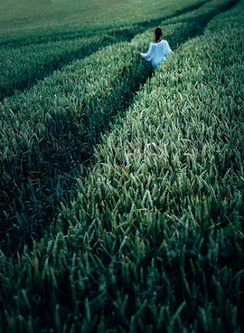 Woman walking through a field. | Free Photo - rawpixel