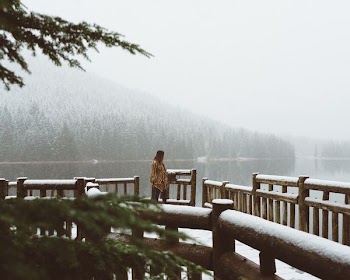 woman walking towards brown wooden bridge