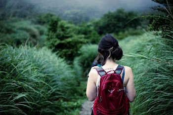 woman walking towards forest