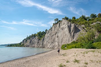 Woman Walks on Brown Seashore Near Cliff With Green Trees Under Blue and White Sky
