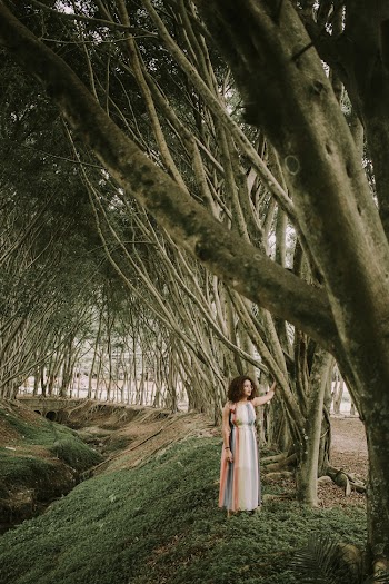 Woman Wearing Beige Dress Standing Near Tree