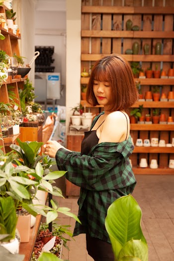 Woman Wearing Black and Green Plaid Shirt