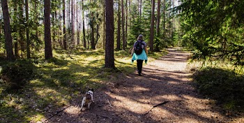 Woman Wearing Black Backpack Walking on the Forest With Her Dog