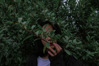 Woman Wearing Black Jacket Beside Green Leaved Trees