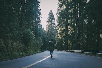 Woman Wearing Black Parka Jacket Walking on Black Concrete Road Surrounded by Trees